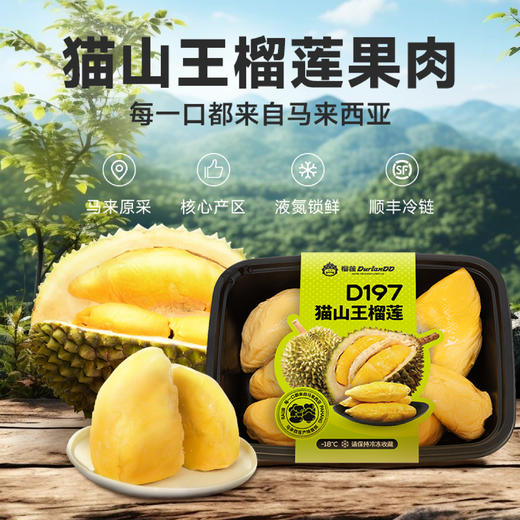 【BF】猫山王榴莲果肉400g 商品图1