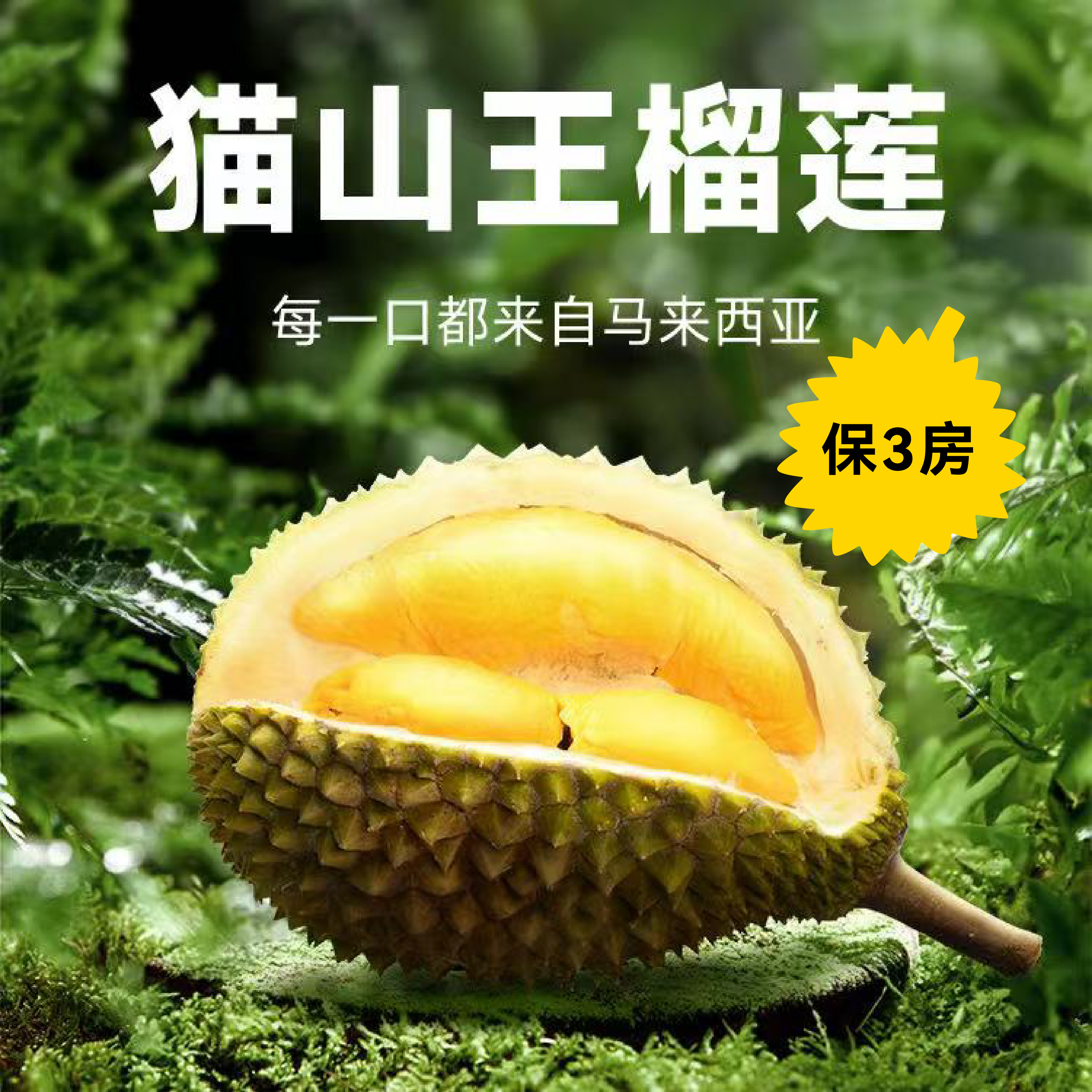 【BF】猫山王榴莲整果BC级 约2-2.5斤(保3房)