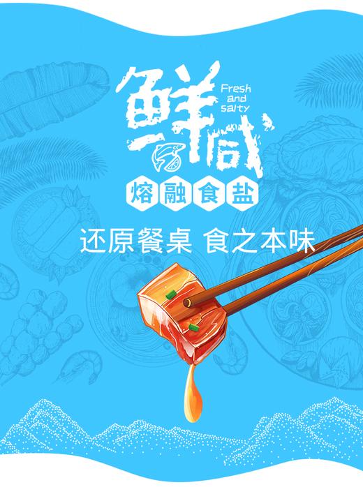 熔融食盐（无碘） 商品图2