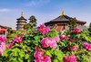 洛阳牡丹+太行春色（太行大峡谷、挂壁公路、王莽岭、八里沟）7天摄影团 商品缩略图1