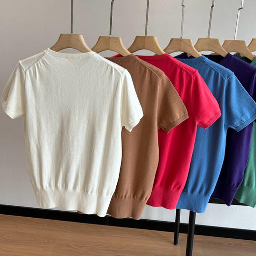 𝐑𝐋 拉夫经典款9色短袖针织衫031107 商品图6