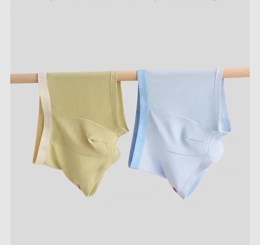 (包邮)heybetter平纹内裤五条装（两种颜色） 商品图0