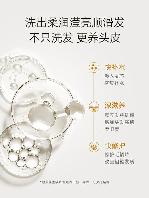 Bioblas德国椰子油洗发水柔顺改善毛躁干枯补水保湿滋润干性发质沙发专用 商品图5