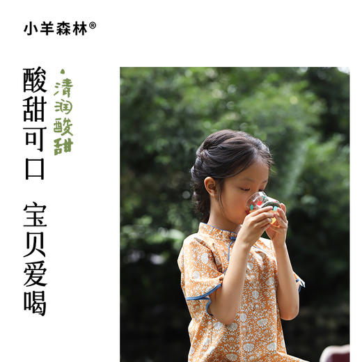 ☆【乌梅三豆膏】古方复配 酸甜可口 浇灭火苗 商品图3