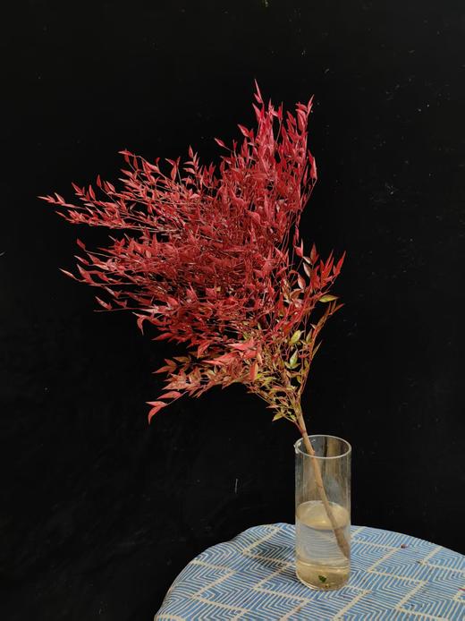 精品秋色绿色南天竹 商品图2