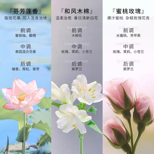 芝芙莲内衣洗衣液蜜桃玫瑰 粉 500ml 商品图1