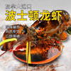 【野生海产】加拿大进口波士顿龙虾650±50g 大西洋海域 商品缩略图0