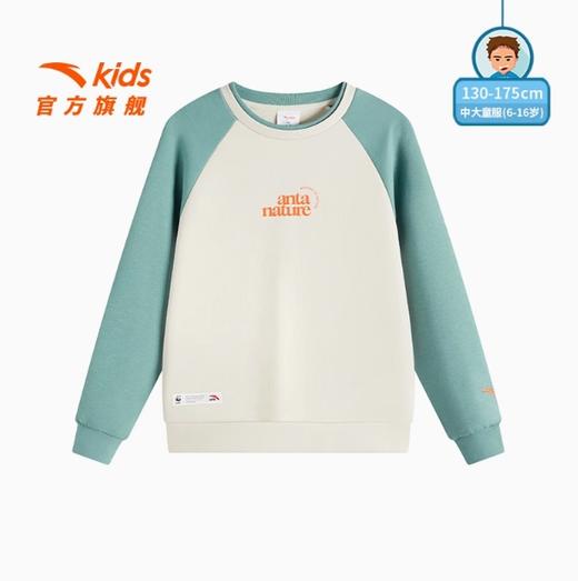 安踏儿童男大童针织套头衫2025春季新款中大童户外休闲圆领卫衣潮352516708B 商品图0