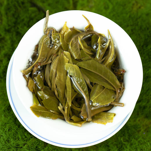 吉顺号茶叶2025年春茶现货明前早春茶叶普洱茶生茶散茶400克/盒 商品图4