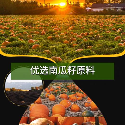 有机紫苏籽油/南瓜籽油 商品图3