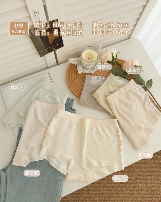 超柔无缝彩纱裸氨气泡裤粘纤女士内裤8790/22187/9736 商品图0