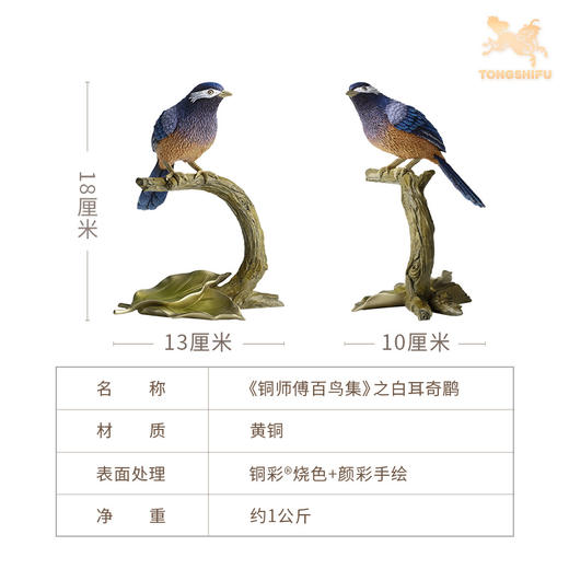 铜师傅《铜师傅百鸟集》之白耳奇鹛 客厅桌面铜鸟摆件 装饰品 商品图5