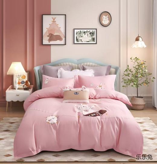 5F罗曼罗兰明超棉四件套200*230cm 商品图0