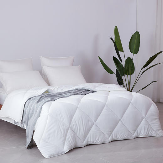 梦洁净享七孔四季被 200*230cm 商品图2