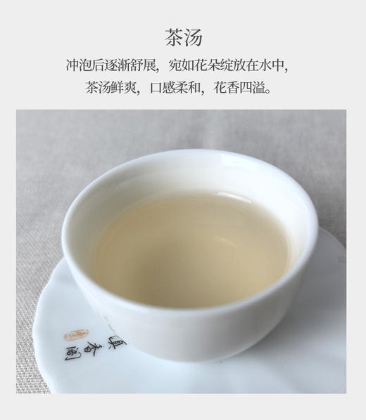 茉莉小龙珠50克 四川蒙山产 传统手工揉珠 天然茉莉花窨制 商品图3