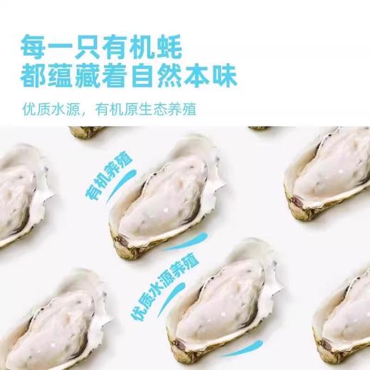 海天有机蚝油鲜露600g*2+海天四海鲜鸡精40g(袋)*2 商品图5