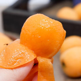 云南高山枇杷 1斤/2斤单果20-30g