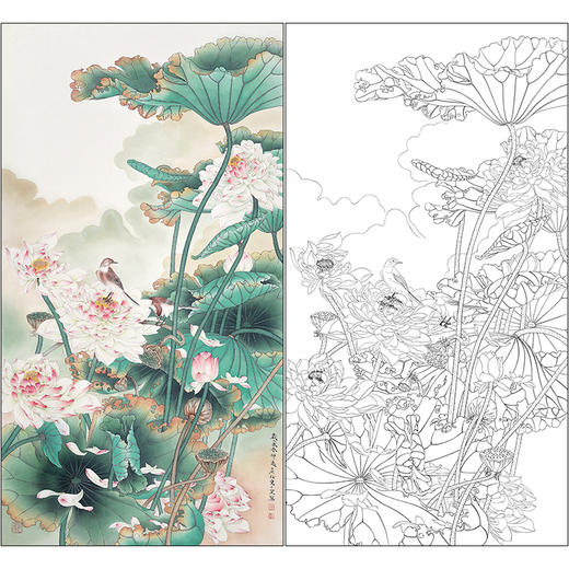 任重花鸟荷花工笔画白描底稿《荷塘珍禽》临摹勾线高清打印稿RD60 商品图0