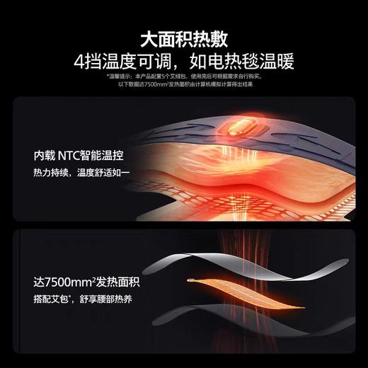 【春上新】10楼飞利浦腰部按摩仪PPM5201BDB/93  吊牌价699活动价549元 商品图3