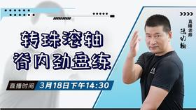 【3月18日】转珠滚轴——脊内劲盘练