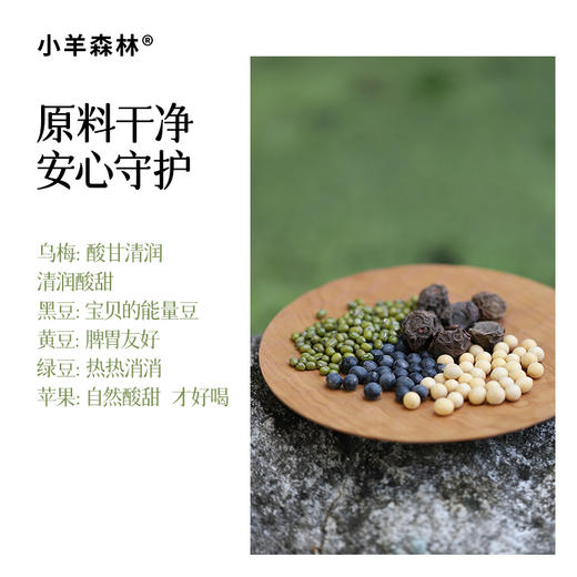 ☆【乌梅三豆膏】古方复配 酸甜可口 浇灭火苗 商品图2