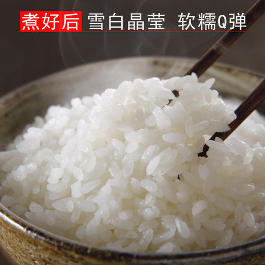 「10斤装！地鲜白米」东北大米10斤 黑龙江寒地鲜白米5KG农家米 粮油米面 商品图3