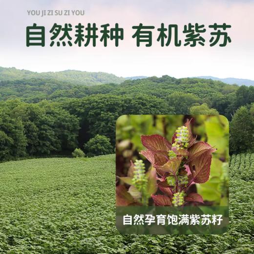 有机紫苏籽油/南瓜籽油 商品图1