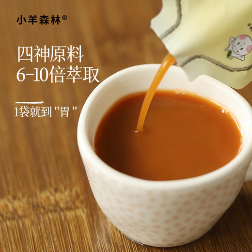 【古方四神饮】 温和养护 开袋即饮 酸甜果蔬味 固体饮料450ml（30ml*15)lc 商品图3