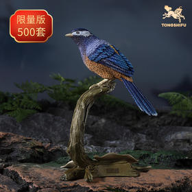 铜师傅《铜师傅百鸟集》之白耳奇鹛 客厅桌面铜鸟摆件 装饰品