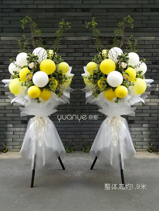 法式马卡龙气球花篮（单个价格） 商品图0