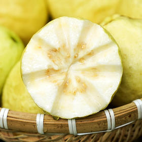 广西白心芭乐 3斤/5斤单果150g+