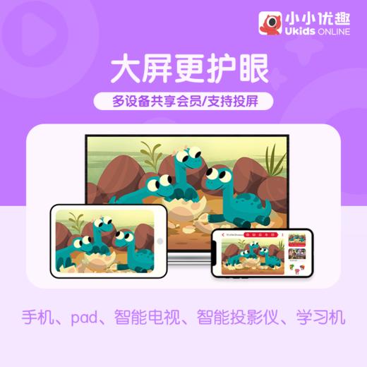 双十一特惠【买一年送3个月】小小优趣  SVIP年卡 商品图4