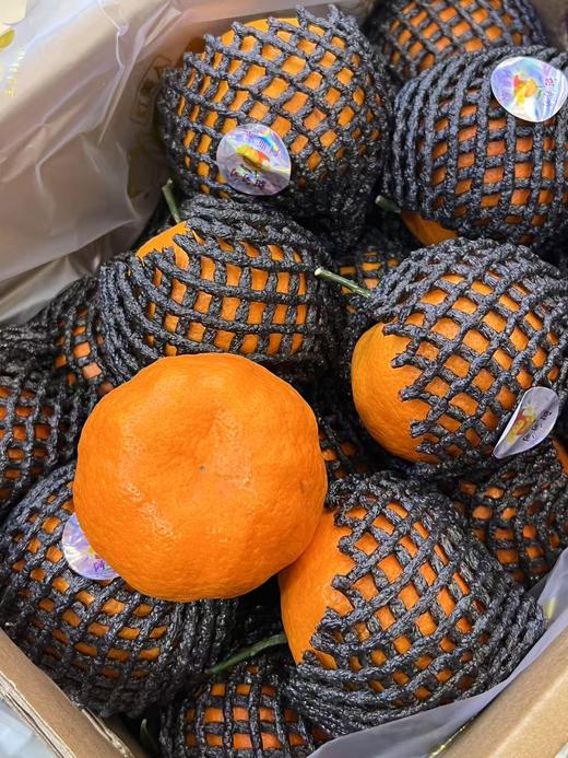 甜甸甸柑橘（连箱7斤左右） 商品图1