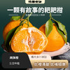 极客两弹橙丨耙耙柑的一个品种，果肉紧实，瓣大+汁多+味甜，晚熟品种，几乎无核，化渣率高，酸甜适中，⭐️京东快递 商品缩略图0