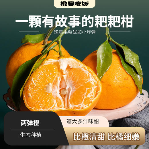极客两弹橙丨耙耙柑的一个品种，果肉紧实，瓣大+汁多+味甜，晚熟品种，几乎无核，化渣率高，酸甜适中，⭐️京东快递 商品图0
