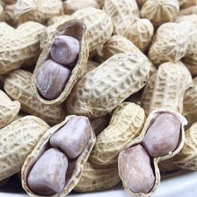 【五袋更超值❗龙岩水煮花生】甄选优质食材，人工精选粒粒饱满，传统工艺制作，香酥可口，福建龙岩紫衣花生，水煮香脆五香新货咸干L