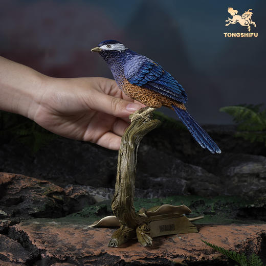 铜师傅《铜师傅百鸟集》之白耳奇鹛 客厅桌面铜鸟摆件 装饰品 商品图4