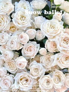 肯尼亚进口花材鲜花速递SNOW BALLET雪上芭蕾多头玫瑰花12支