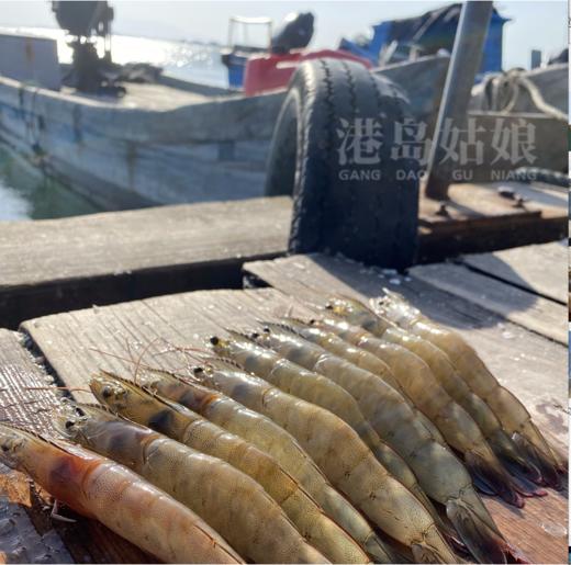 & 带虾膏的（白笋虾）🦐肉质鲜甜紧实，蛋白质含量超高，难得的品质虾！活冻 商品图2