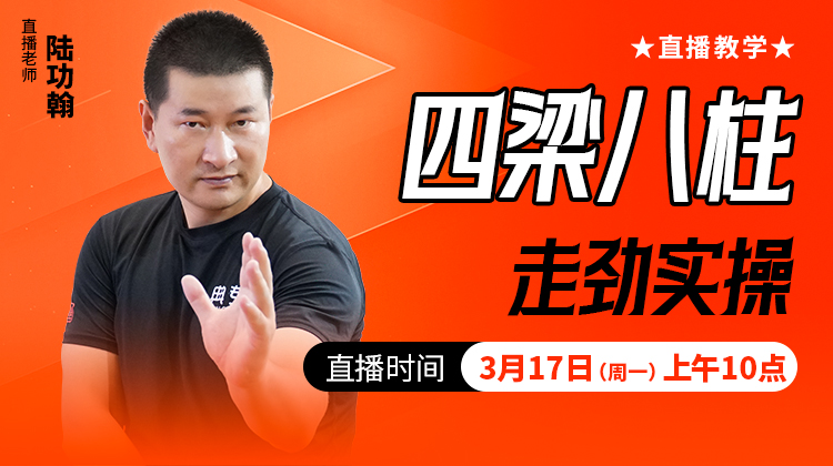 四梁八柱走劲实操——直播教学（陆师亲授）