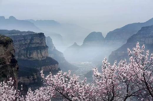 洛阳牡丹+太行春色（太行大峡谷、挂壁公路、王莽岭、八里沟）7天摄影团 商品图0