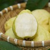 广西白心芭乐 3斤/5斤单果150g+ 商品缩略图3