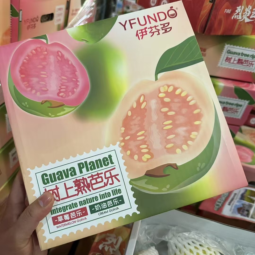 淡雪奶油芭乐礼盒