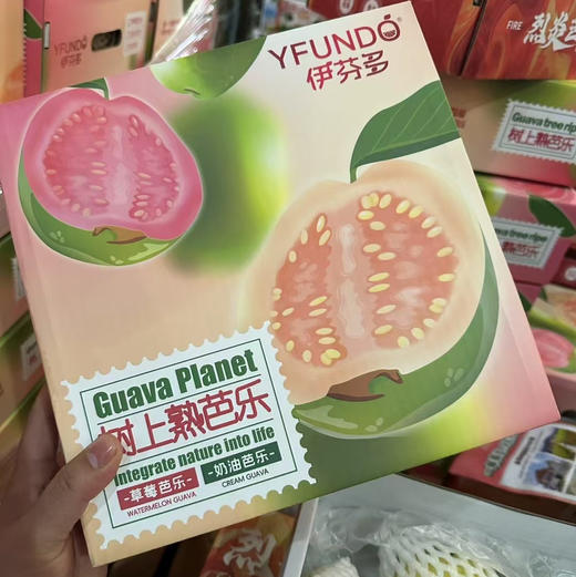 淡雪奶油芭乐礼盒 商品图0