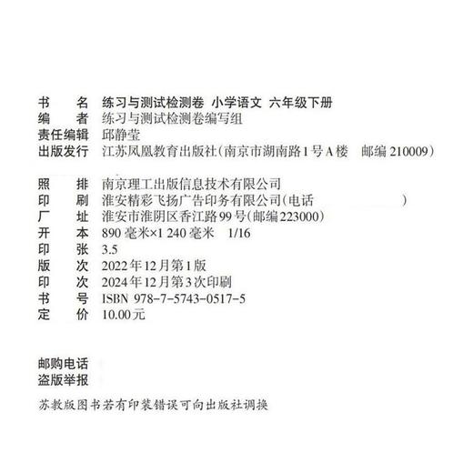 2025春 练习与测试检测卷小学语文六年级下册 同步人教版部编版语文课本使用 6下含电子答案 江苏凤凰教育出版社 商品图2