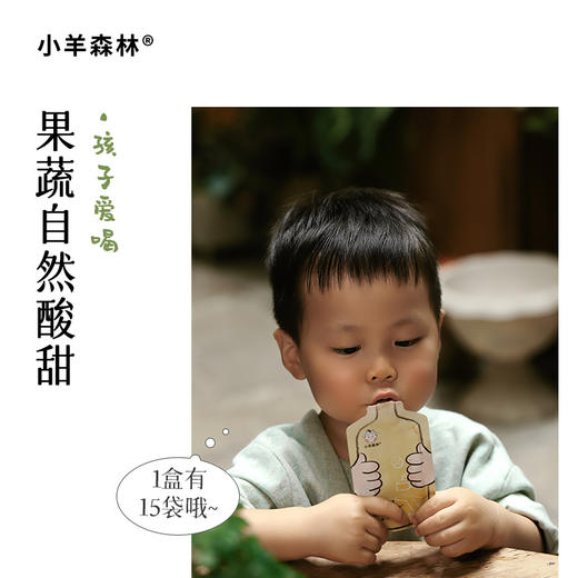 【古方四神饮】 温和养护 开袋即饮 酸甜果蔬味 固体饮料450ml（30ml*15)lc 商品图4