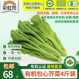 【基地直发】 有机蔬菜包心芥菜4斤/6斤/10斤装欧盟认证包邮