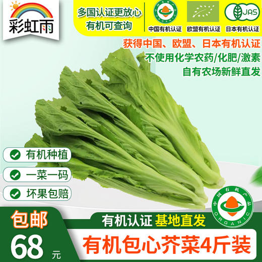 【基地直发】 有机蔬菜包心芥菜4斤/6斤/10斤装欧盟认证包邮 商品图0