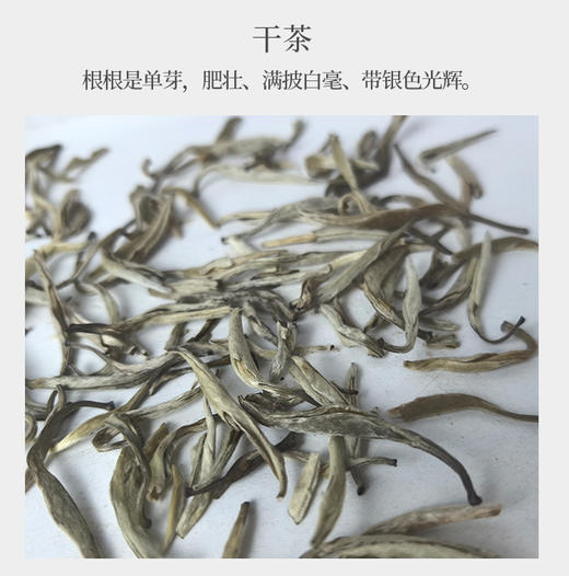 茉莉银针 50克 四川蒙山产 天然茉莉花窨制 拒绝香精 商品图2