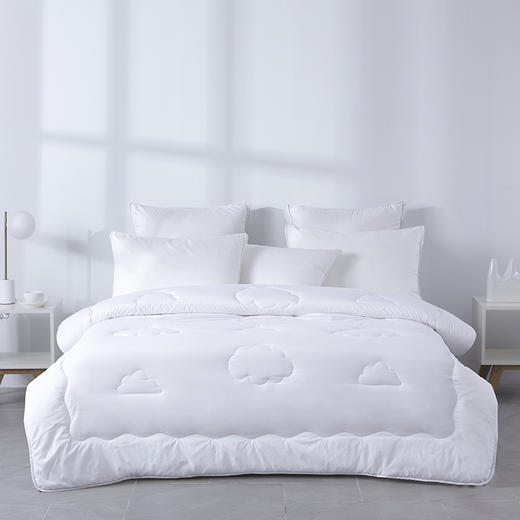 梦洁臻享澳毛四季被 200*230cm 商品图1